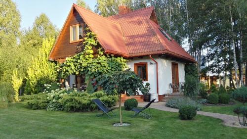 Narewka Casa | Siedlisko Gruszki Puszcza Białowieska