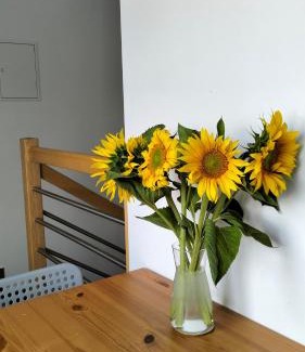 Marcinowice Apartamento | Sielska Dolina pod Ślężą