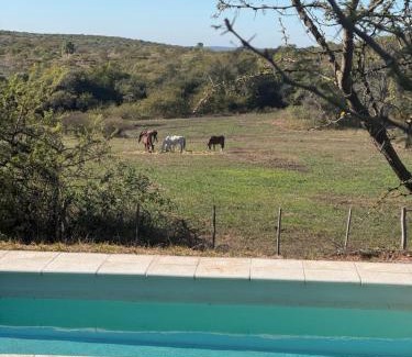 Ascochinga Casa | Sierras de Córdoba Ascochinga vivienda Privada