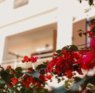 Parga Apartamento | Sifakis House