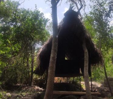 Dambulla Cabina | Sigiriya Eco Lodge & Accommodation - Sigiriya CES Field Base