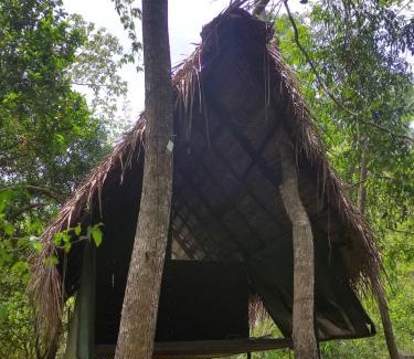 Dambulla Cabina | Sigiriya Eco Lodge & Accommodation - Sigiriya CES Field Base
