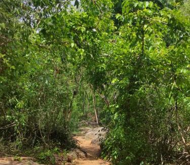 Dambulla Cabina | Sigiriya Eco Lodge & Accommodation - Sigiriya CES Field Base