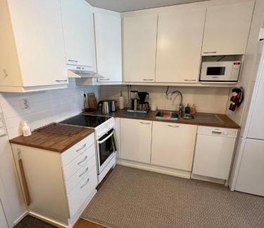 Siilinjarvi Apartamento | SiilinPiha central apartament Siilinjärvi