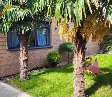 Arad Apartamento | Sika Garden Apartment Arad