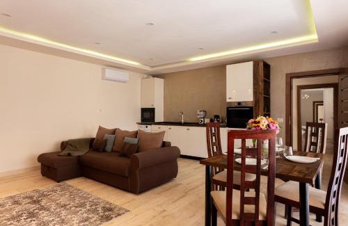 Arad Apartamento | Sika President Garden & Spa Central Apartment Arad