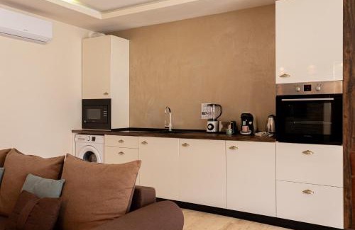 Arad Apartamento | Sika President Garden & Spa Central Apartment Arad