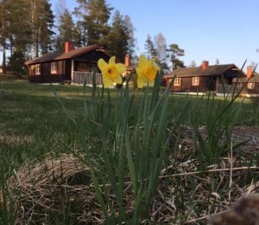 Siljansnas Otro | Siljansnäs Stugby