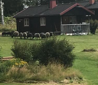 Siljansnas Otro | Siljansnäs Stugby