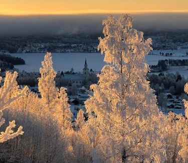 Siljansnas Otro | Siljansnäs Stugby