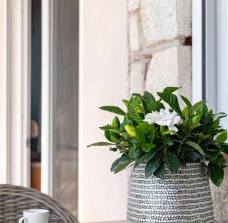 Nea Fokaia Apartamento | Silot apartment 3