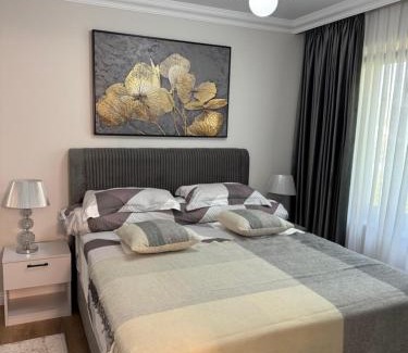 Radauti Apartamento | Silver Apartment