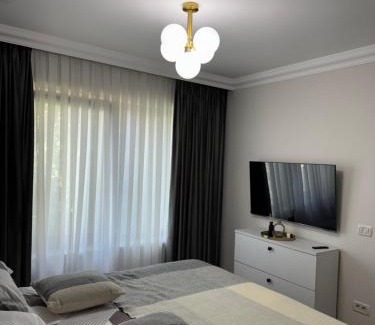 Radauti Apartamento | Silver Apartment