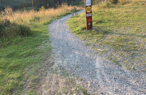 Kinnitty Cabina | Silver Bloom Cabin, a peaceful retreat in Kinnitty’s Slieve Bloom Mountains