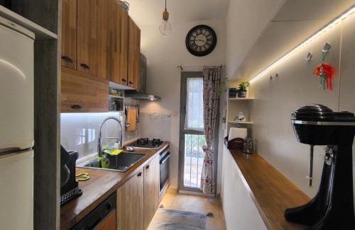 Palaia Fokaia Apartamento | Silver Paradeisi Apartment
