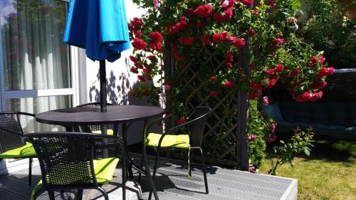 Rowy Casa | SILVER ROWY