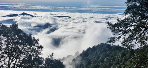 Almora Cabina | Simba Jungle Lodge, Binsar Wildlife Sanctuary