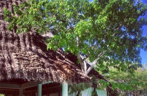 Malindi Marine National Park Hotel | Simba Wa Kale Luxury Resort Malindi