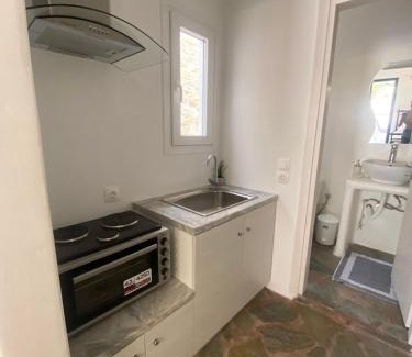 Kithnos Apartamento | Simousi Studio 1 sea view on the beach