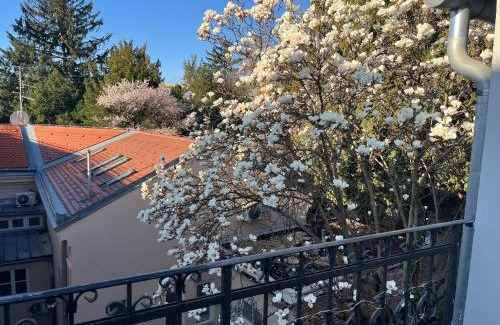 Donji Grad Apartamento | Simply Zagreb