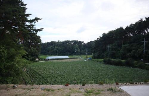 Gangneung Casa | Sinami83