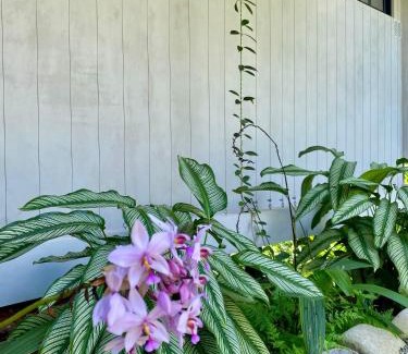 Savegre Casa | Sinfonía Tropical, ocean view, 5 minutes driving to Playa Linda, 15 to Dominical, wifi Starlink
