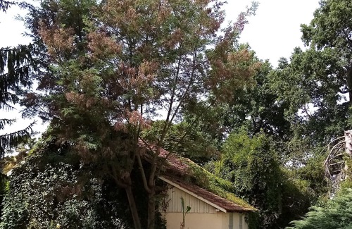La Fagette Casa | Casa de una planta en Périgord Negro.