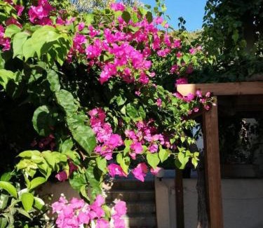Kefalos Apartamento | SINI Apartments 3A