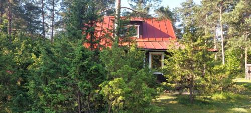 Saaremaa Casa | Sinilille suvemaja saunaga