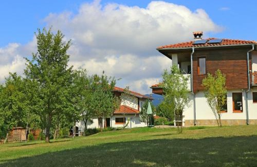 Elena Complejo | Sinjirite Complex