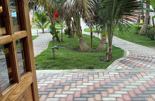 Canoa Apartamento | Sirena's Beach & Surf Club