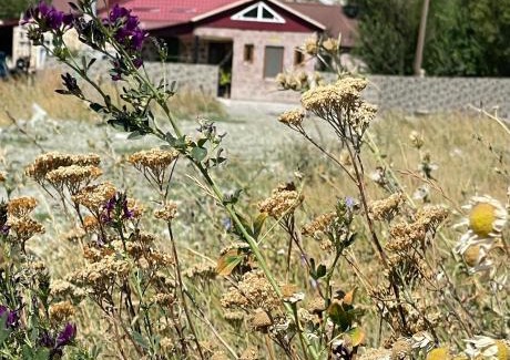 Gusanagyugh Casa | Sis Guest House