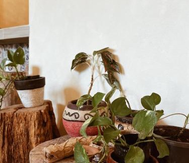Chichen Itza - Valladolid Apartamento | Sisal Loft Living