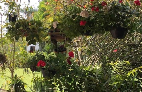 Sao Roque Casa | Site near the Wine Road