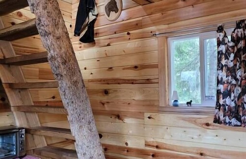 Kenora Cabina | Site17-18 Glamping Bunkie & Tent-Small Urban Farm