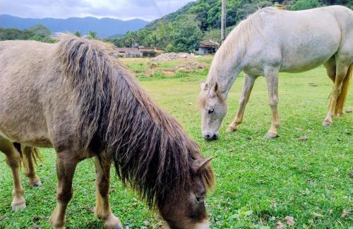Camburi Casa | Sitio 6 Irmãos
