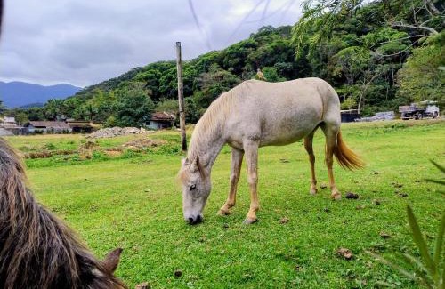 Camburi Casa | Sitio 6 Irmãos