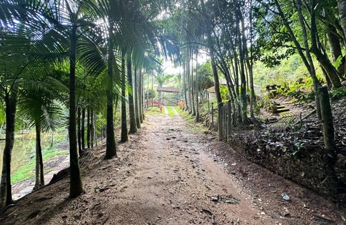 Vitor Hugo Casa | Sitio Mandaçaia