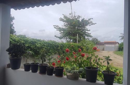 Inhambupe Cama Y Desayuno | Sitio Rancho Feliz
