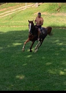 Jose Borba da Silva Casa | Sitio Tripans Paraiso dos Sonhos