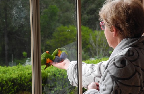 Mulgoa Cabaña | “Six Oaks” Wilderness Retreat