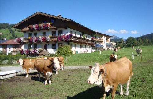Niederau Apartamento | Sixenhof