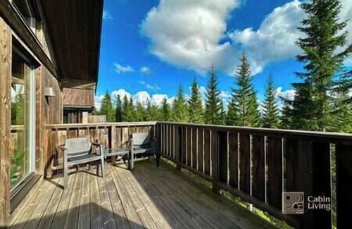 Al Municipality Apartamento | Sjusjøen ski in/out, ski storage, Wifi, grill & EV-charger, modern apartment!