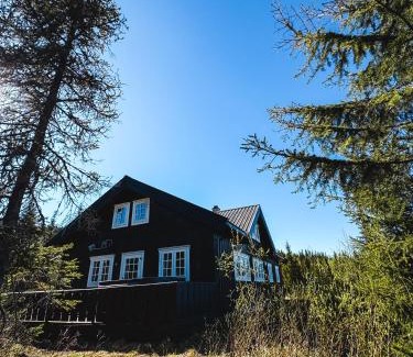 Svingvoll Chalet De Esquí | Skeikampen cabin with mountain view, jacuzzi, and 8 bedrooms