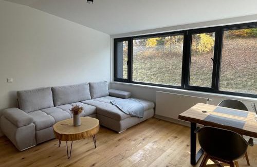 Janske Lazne Apartamento | Ski&Bike horský apartmán 502