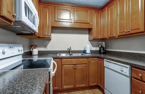 Great Valley Condominio | Ski-in/Ski-out 2 Bed, 2 Bath condo Holiday Valley