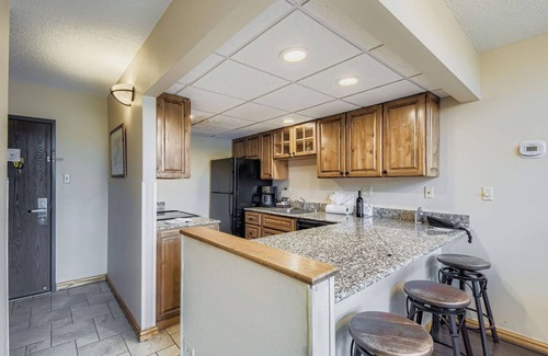 Peak 9 Condominio | Ski In/Ski Out 2BR Condo, Beaver Run, Dog Friendly
