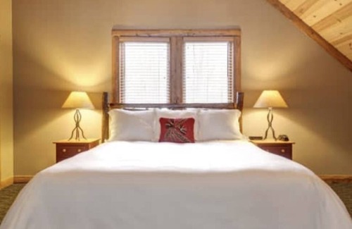 Boyne Falls Cabina | Ski-In, Ski-Out 4 Bedroom Mountain Cabin at Boyne Mountain Resort w/Hot Tub