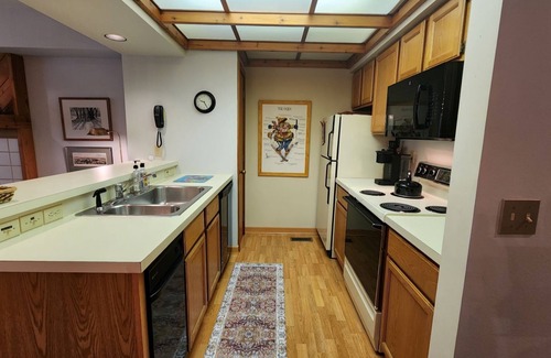 Harbor Springs Condominio | Ski-in, Ski-out Condo at Nub's Nob Ski Resort near Harbor Springs & Petoskey