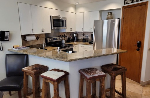 Purgatory Condominio | Ski-In/Ski-Out Condo! Two Fire Places! Stunning Balcony Views!